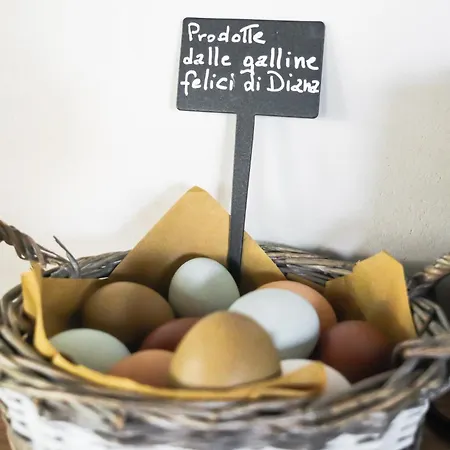 Vila L'organetto - With Private Pool *