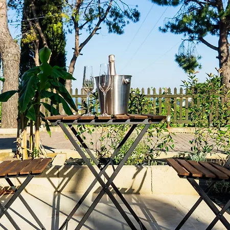 Vila L'organetto - With Private Pool